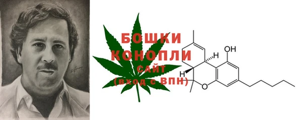 дживик Волосово