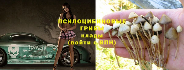 дживик Волосово